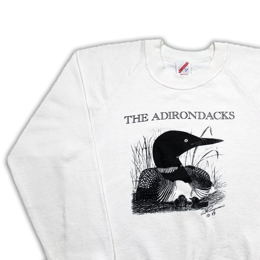 Vintage '89 Adirondacks Crewneck | Rebalance Vintage.