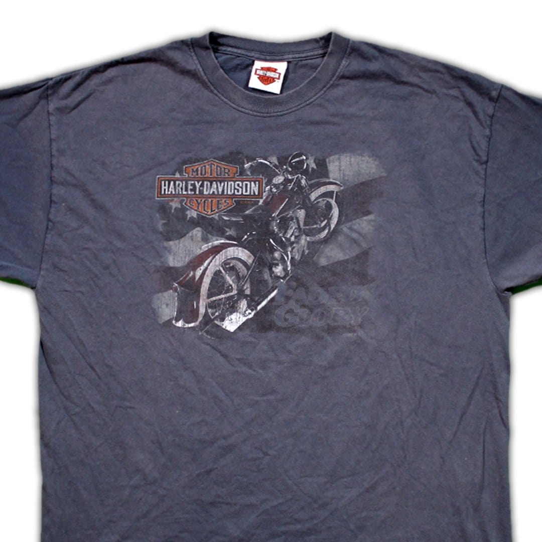 Vintage '07 Blue Harley Davidson Smokey Mountain Tee | Rebalance Vintage.