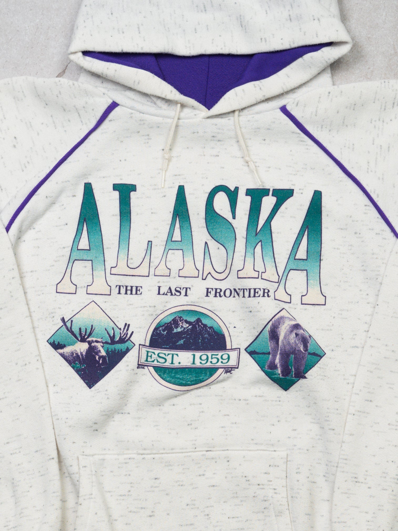 Vintage 80s Grey +Purple  Alaska Last Frontier Hoodie (M)