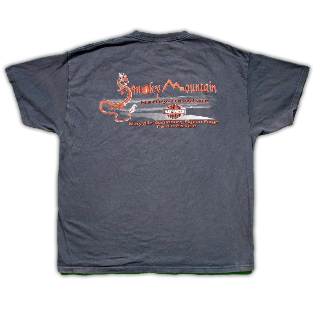 Vintage '07 Blue Harley Davidson Smokey Mountain Tee | Rebalance Vintage.