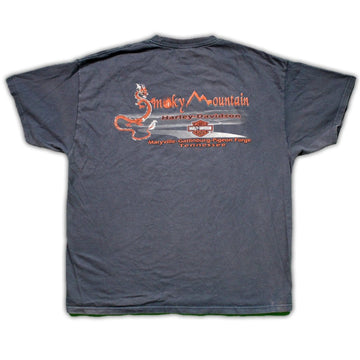 Vintage '07 Blue Harley Davidson Smokey Mountain Tee | Rebalance Vintage.