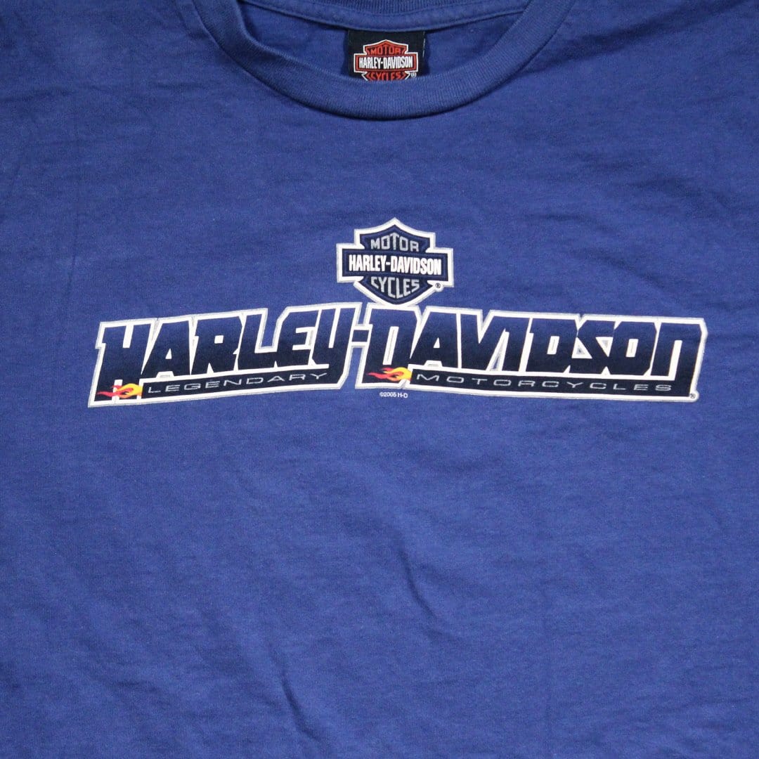 Vintage Blue Harley Davidson West Branch, MI Tee (L/XL) | Rebalance Vintage.